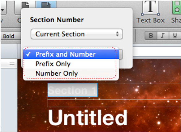 Screen Shot showing that by doubleclicking a chaptertitle or section allows you to add a prefix and or number
